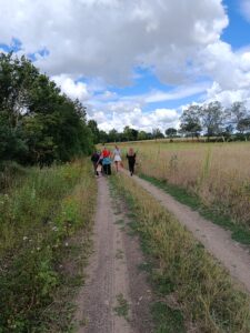 Wandern
